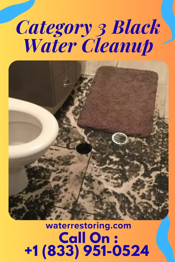 Category 3 Black Water Cleanup in Bennett Springs, NV