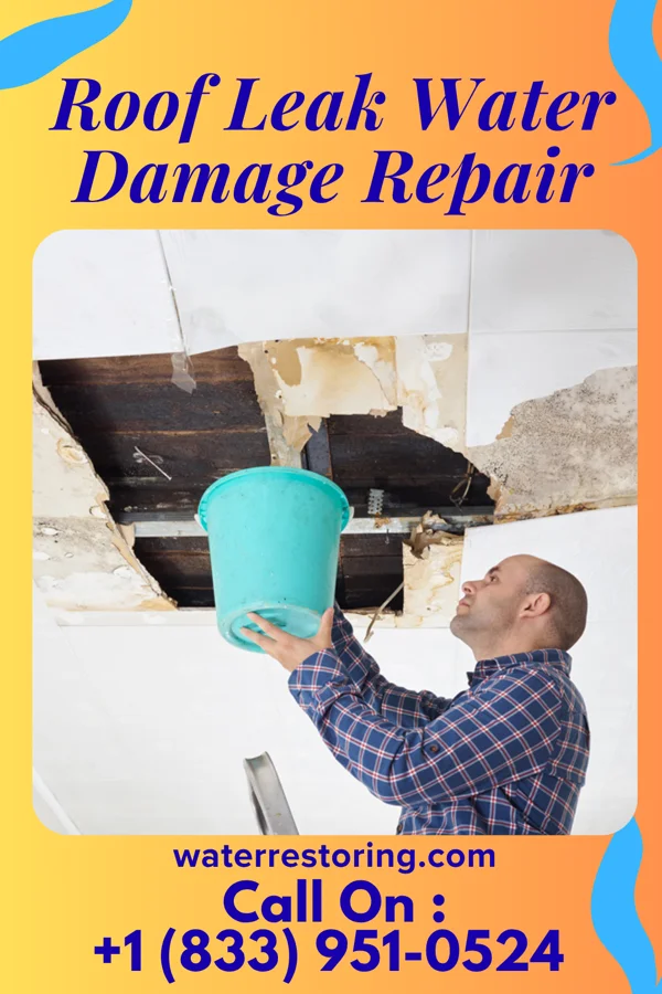 Roof Leak Water Damage Repair in Bennett Springs, NV